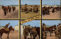 Cavalry Cavalry