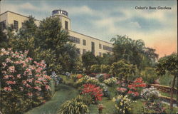 The Calart Building - The Rear Gardens Postcard