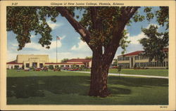 Glance of New Junior College Postcard