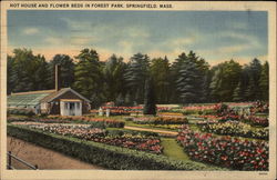 Hot House and Flower Beds in Forest Park Postcard