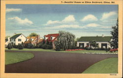 Beautiful Homes on Elkton Boulevard Maryland Postcard Postcard