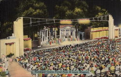 Municipal Opera, Forest Park Postcard