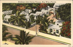 Birdseye View Cactus Terrace Postcard