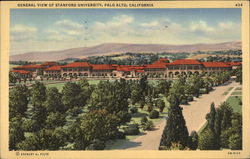 General View of Stanford University Postcard