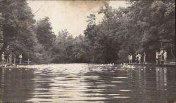 Camp DeSoto Mentone, AL Postcard Postcard