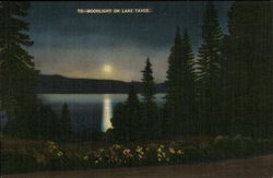 Moonlight on Lake Tahoe California Postcard Postcard