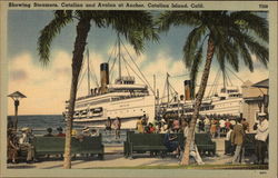 Showing Steamers, Catalina and Avalon at Anchor Santa Catalina Island, CA Postcard Postcard