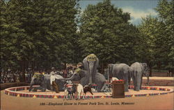 Stock #301024 Thumbnail