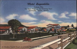 Motel Bugambilia Postcard