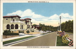 Avenida Roosevelt Postcard