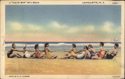 A "Tug of War" on a Beach Postcard
