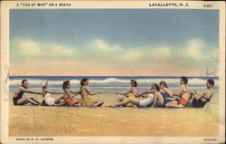 A "Tug of War" on a Beach Lavallette, NJ Postcard Postcard