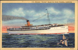 Steamer "Avalon" Bound for Santa Catalina, California Postcard