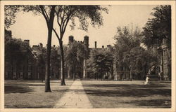 The American Scene - Old Campus, Looking South - Yale University Postcard