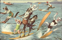 Cats Water Skiing Postcard