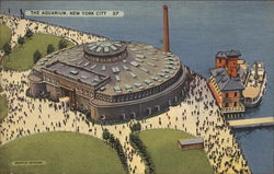 Stock #301374 Thumbnail