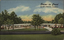 Swim-in Court Silver Springs, FL Postcard Postcard