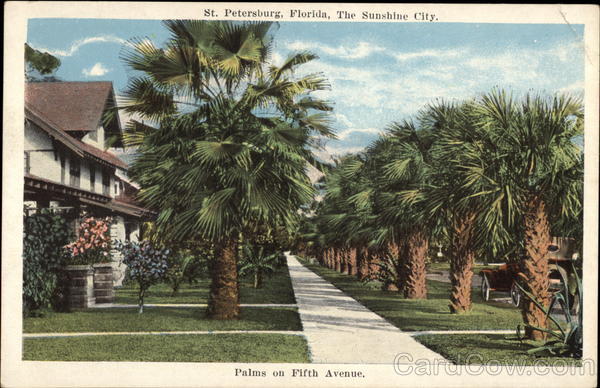 Palms on Fifth Avenue St. Petersburg Florida