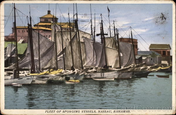 Fleet of Sponging Vessels Nassau Bahamas Caribbean Islands