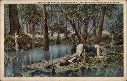The Hunter Hunted, Caught by an Alligator in the Everglades The Hunter Hunted, Caught by an Alligator in the Everglades