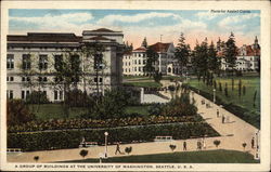 A Group of Buildings at the University of Washington Seattle, WA Postcard Postcard