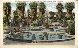 The beautiful gardens of the Beverly Hills Hotel California Postcard Postcard