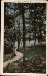 Lake Path Postcard