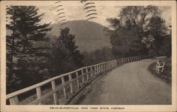 Delhi-Bloomville, New York State Highway Postcard Postcard