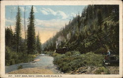 Ojo D'Agua, Rapid Canon Black Hills, SD Postcard Postcard