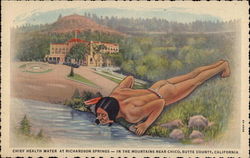 Chief Health Water at Richardson Springs Chico, CA Postcard Postcard