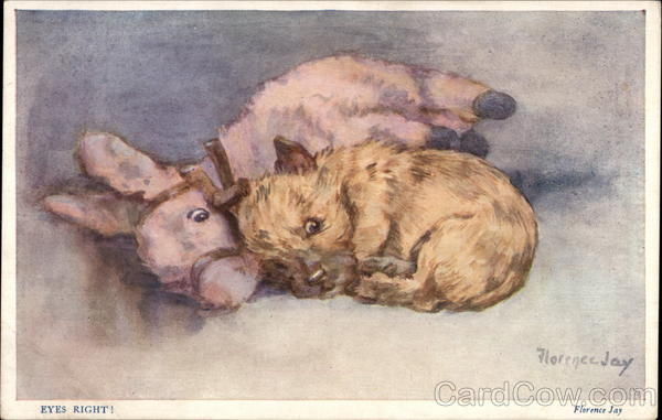 Dog with Stuffed Toy Florence Jay Dogs