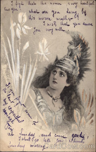 A Beautiful Woman in Armor Women