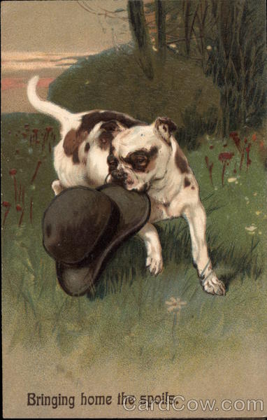 Brown and White Dog Biting a Hat Dogs