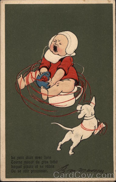 Dog Ties Up Baby with Yarn Dogs