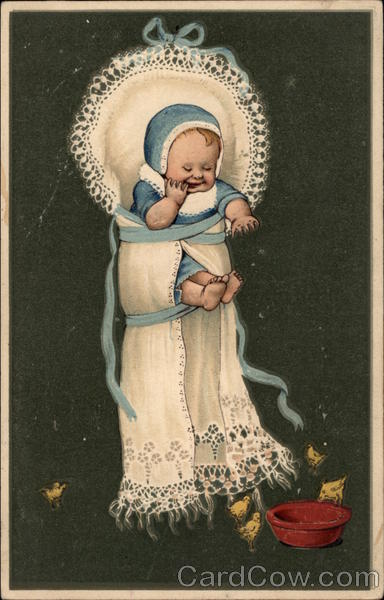 Baby Watching Chicks Babies