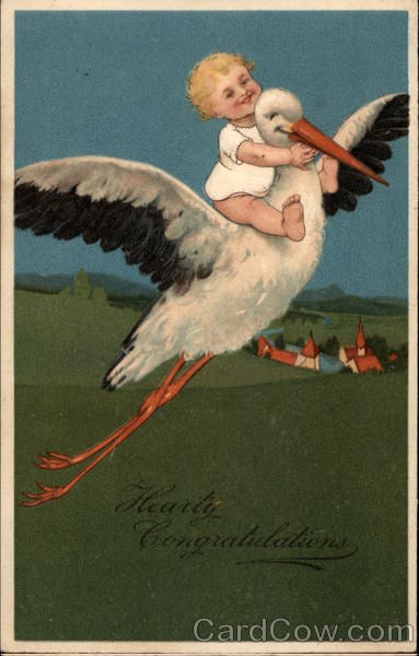 Baby riding a stork Storks