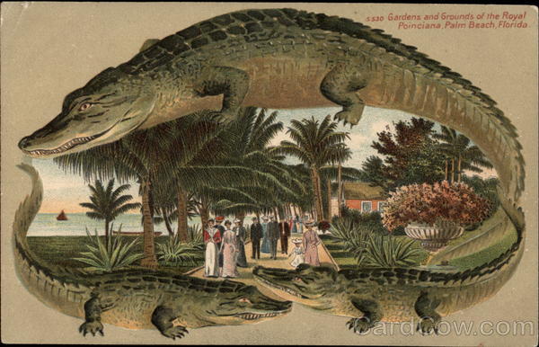 Gardens and Grounds of the Royal Poinciana Palm Beach Florida