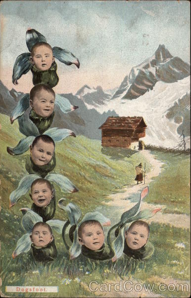 Large Letter L with Blue Fowers and Baby Faces with Mountain Scene in Background