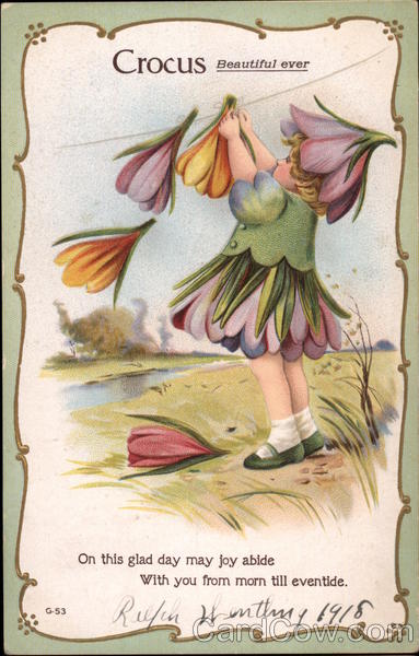 Crocus, Beautiful ever With Children