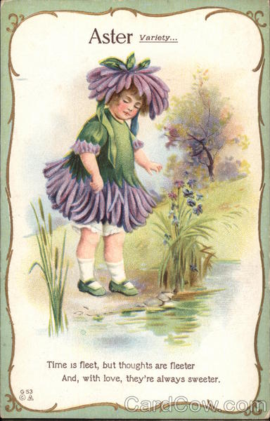 Aster, Variety With Children