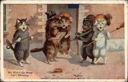 Five Cats Busking Postcard