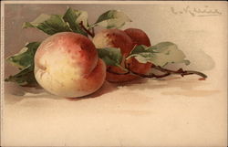 Sprig of Peaches Fruit Postcard Postcard