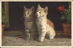 Stock #302513 Thumbnail