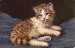 Tabby Kitten Postcard