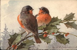Two Robins on Sprig of Holly Postcard