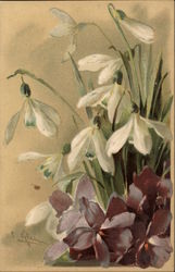 White and Purple Flowers Postcard