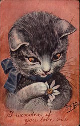 Kitten - I Wonder If You Love Me Postcard