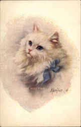 Fluffy White Cat with Blue Bow Postcard