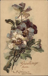 Sprig of Purple Flowers C. Klein Postcard Postcard
