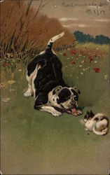 Dog and Cat Playing Multiple Animals Postcard Postcard
